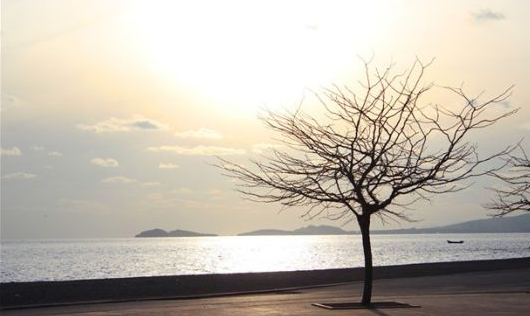 1775391435126317.png 搜狗高速浏览器截图20260404162458.png