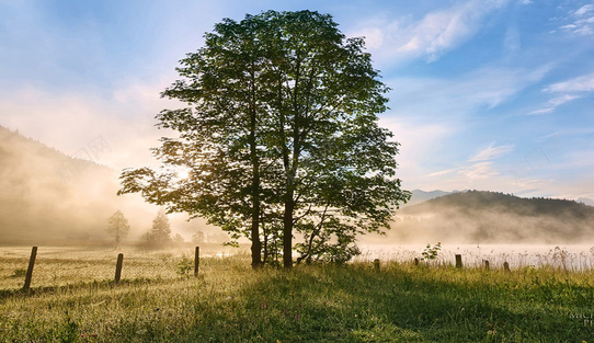 1775391482131707.png 搜狗高速浏览器截图20260403220710.png